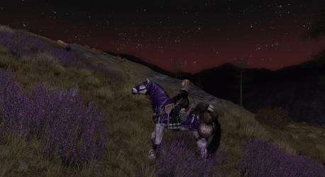 Фиолетовый — замечательный цвет